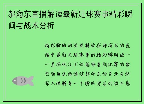 郝海东直播解读最新足球赛事精彩瞬间与战术分析